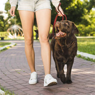 Training walks