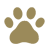 dongpngicons