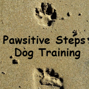 pawsitive-Dog-TrainingLogo