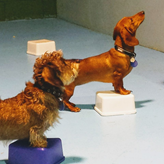 stafftraining